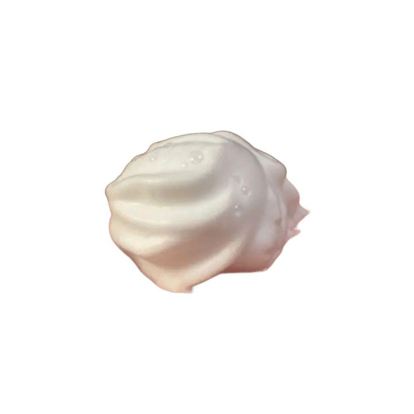 Biore Antibacterial Foaming Hand Soap Forest Scent Pump Bottle 280ml