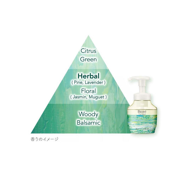 Biore Antibacterial Foaming Hand Soap Forest Scent Pump Bottle 280ml