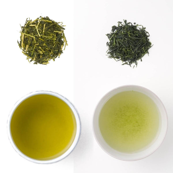Luxurious Competition Grade Uji Kyoto Gyokuro & Sencha Green Tea Set Box