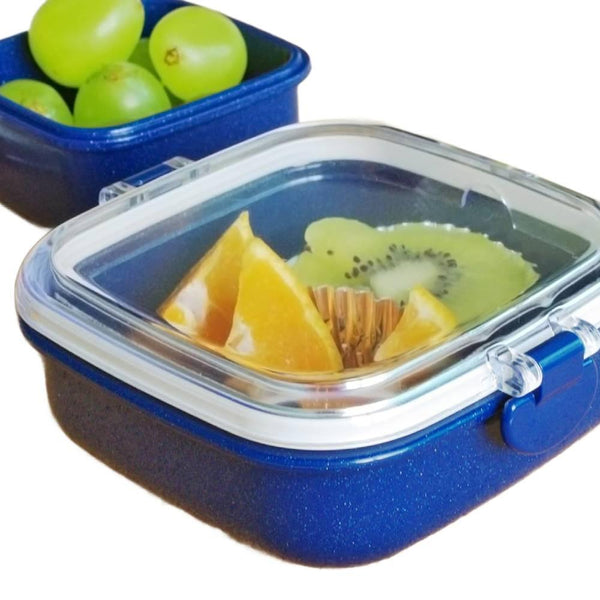 OSK Antibacterial Food Storage Container With Lockable Lid 250ml