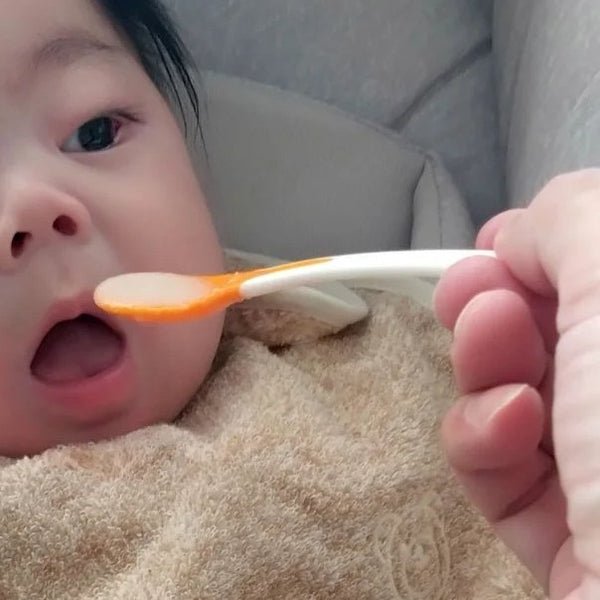 Orim Imabari 100% Organic Cotton Absorbent Baby Bib