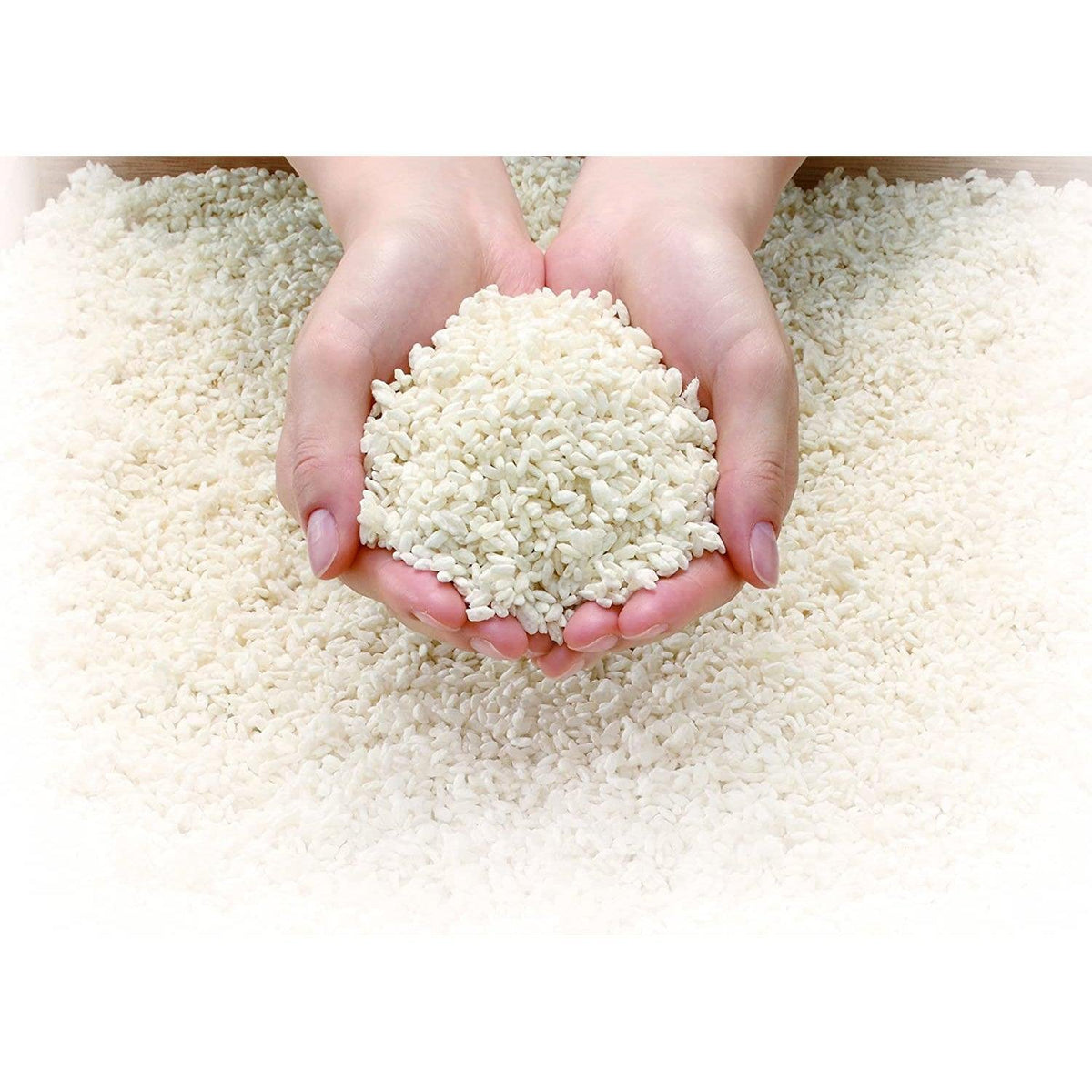 Organic Shio Koji | Amazake Co