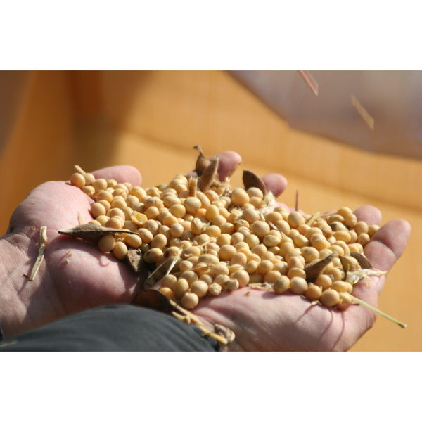 Adachi Yuzu Ponzu Sauce Made With Organic Soy Sauce & Sudachi 360ml