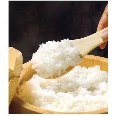 Umezawa Hinoki Rice Paddle Japanese Cypress Wood Rice Scoop