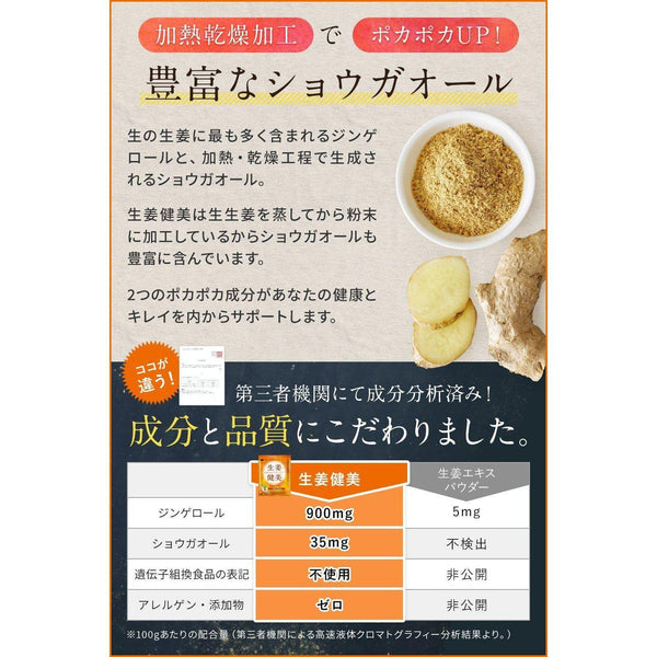Shoga Kenbi Japanese Ground Ginger Powder 100g