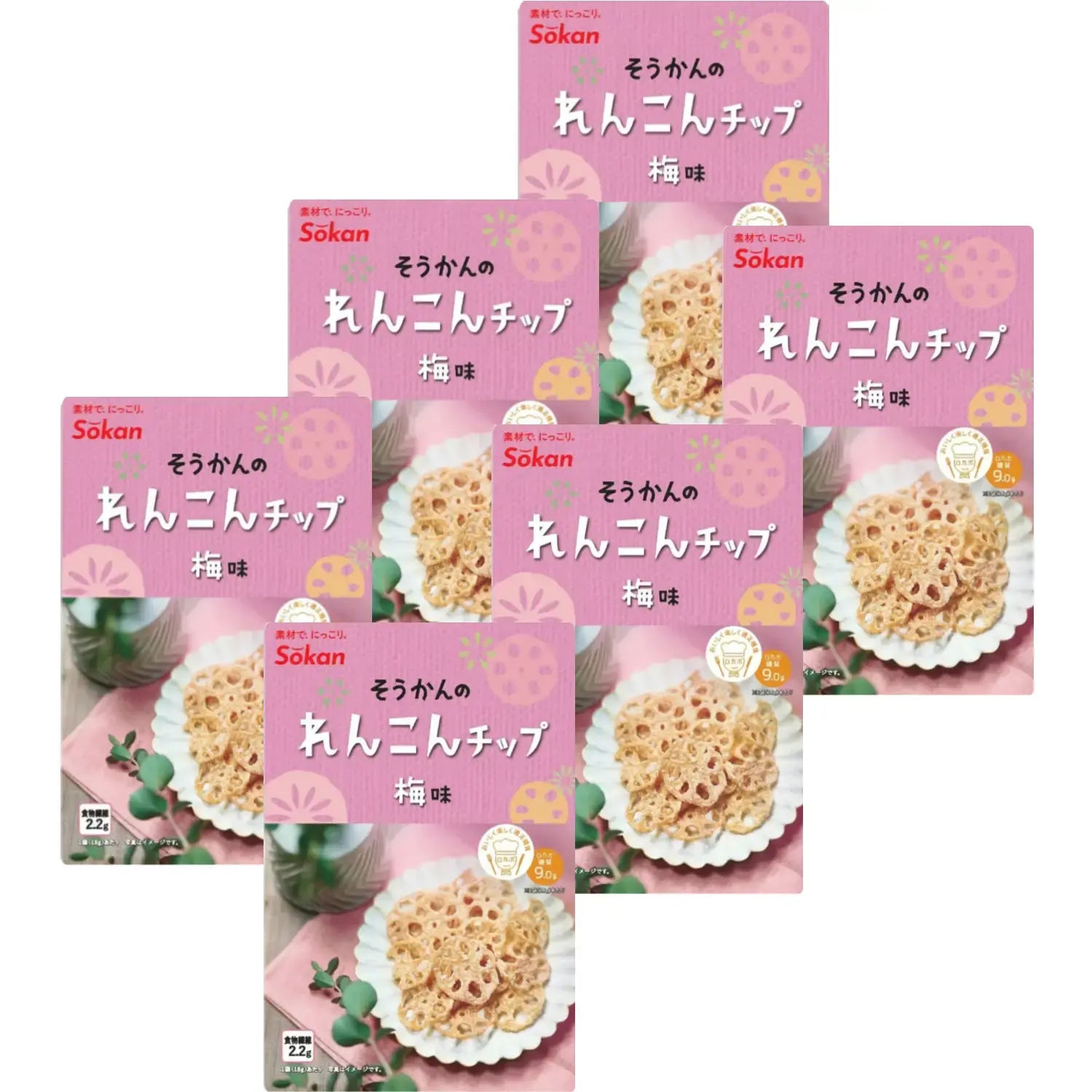 Sokan Ume Renkon Chips Japanese Plum Flavored Lotus Root Chips 18g (Pack of 6)