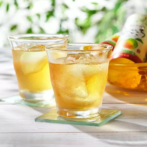 Tokiwa Ume Flavored Japanese Drinking Vinegar Premix Drink 125ml