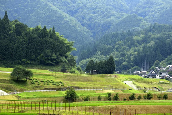 A Closer Look at a 100-Year-Old Vinegar Maker in Tajima