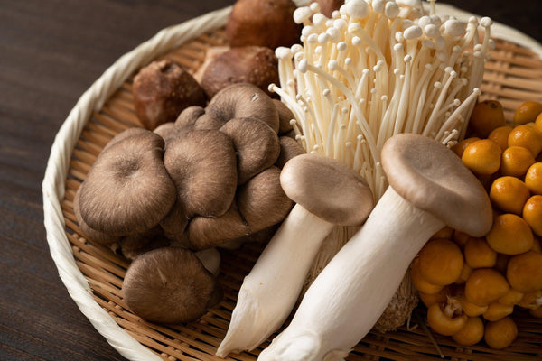 Japanese Mushrooms