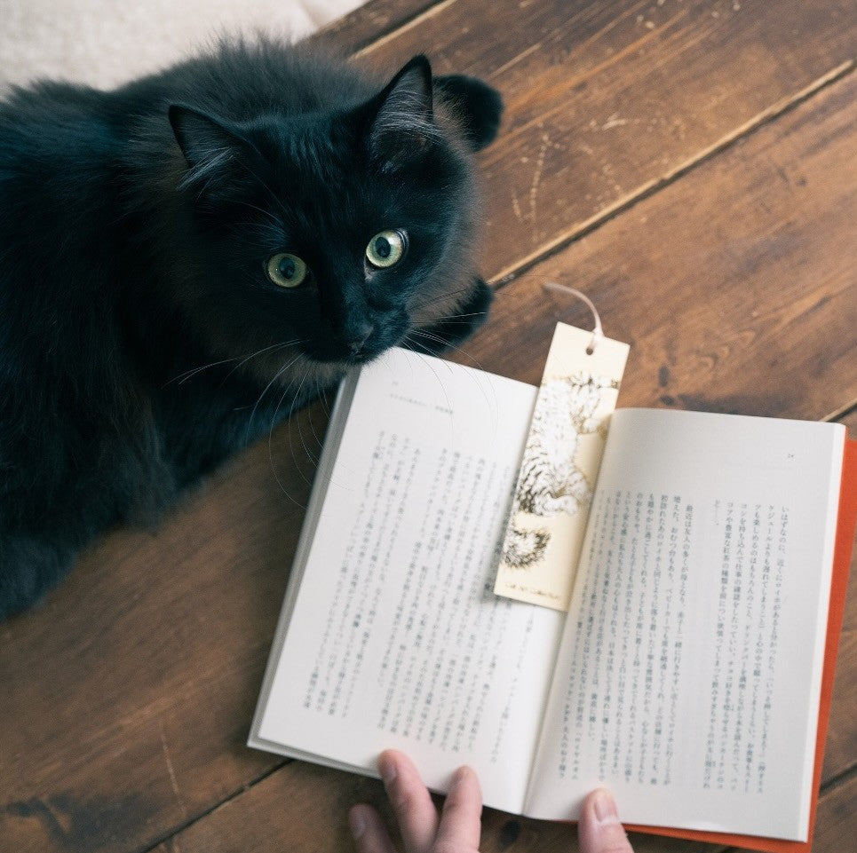 japanese bookmarks