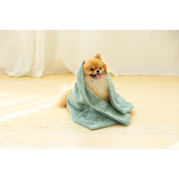 Jogan-Pet-Towel-Super-Absorbant-Bath-Towel-for-Pets-Green-34×78cm-3-2024-07-16T00:42:59.895Z.jpg