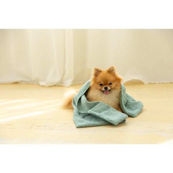 Jogan-Pet-Towel-Super-Absorbant-Bath-Towel-for-Pets-Green-34×78cm-4-2024-07-16T00:42:59.895Z.jpg