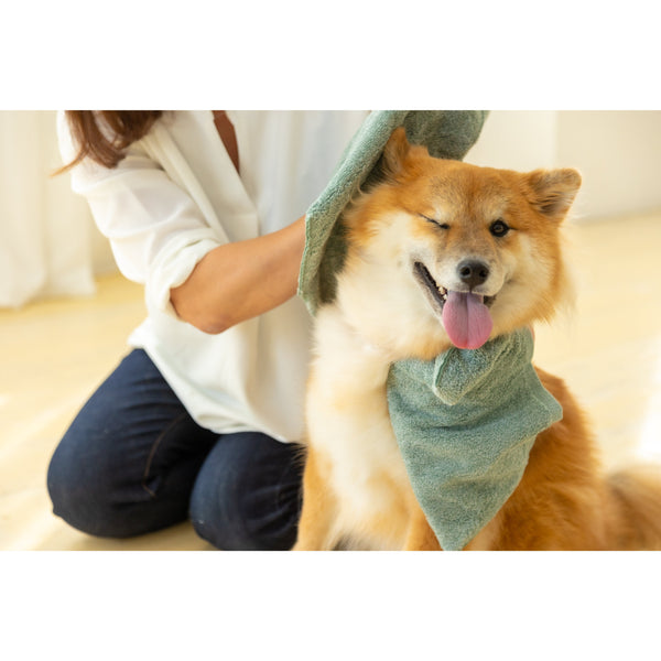 Jogan-Pet-Towel-Super-Absorbant-Bath-Towel-for-Pets-Green-34×78cm-6-2024-07-16T00:42:59.895Z.jpg