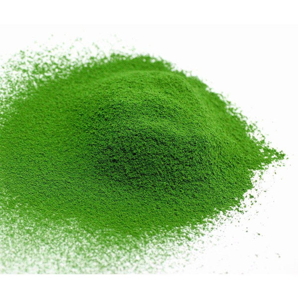 Marukyu Koyamaen Tenju Award Winning Uji Matcha Green Tea Powder 40g
