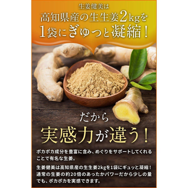 P-4-NCH-GINPOW-100-Shoga Kenbi Japanese Ground Ginger Powder 100g.jpg